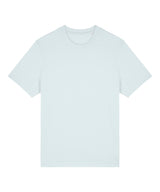 Unisex Sparker 2.0 heavy t-shirt (STTU171)