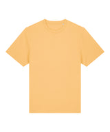 Unisex Sparker 2.0 heavy t-shirt (STTU171)