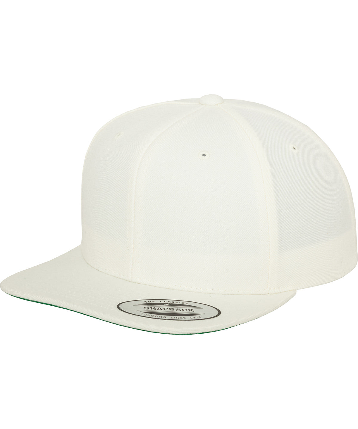 The classic snapback (6089M)