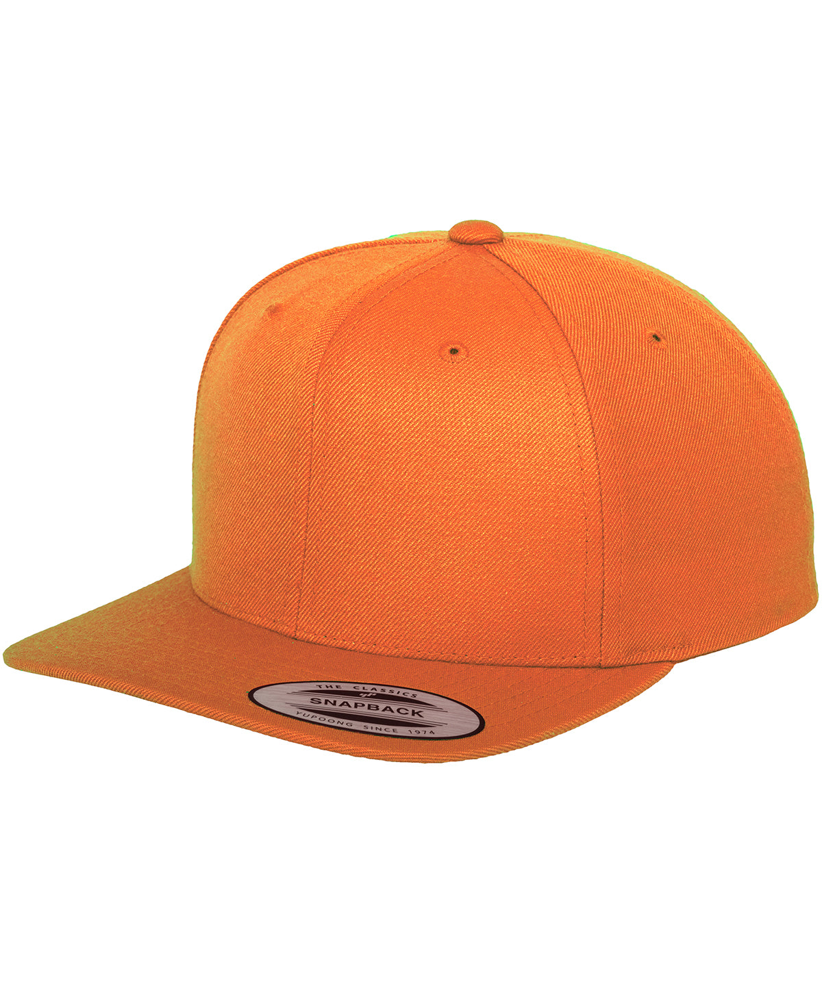 The classic snapback (6089M)