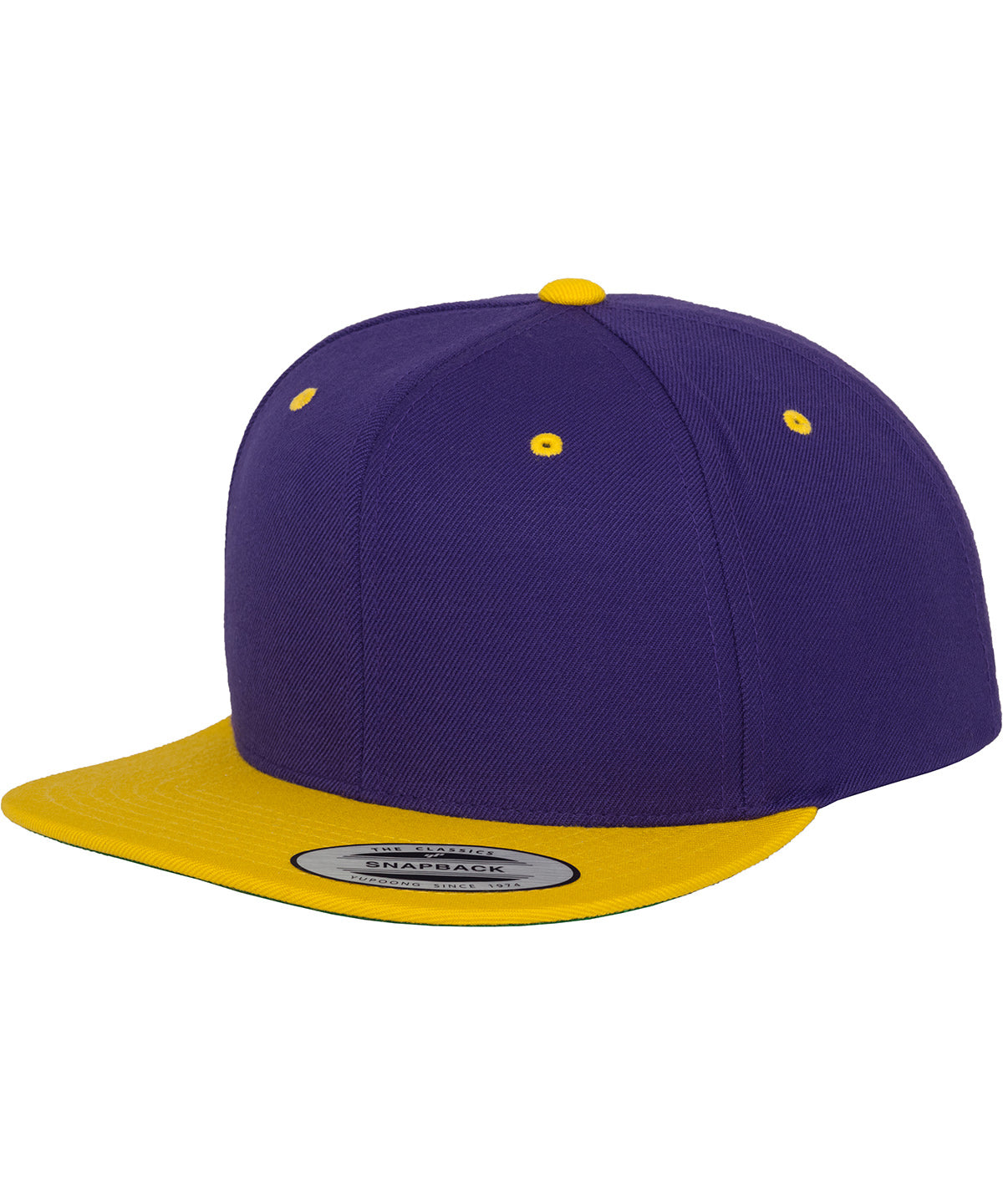 The classic snapback 2-tone  (6089MT)