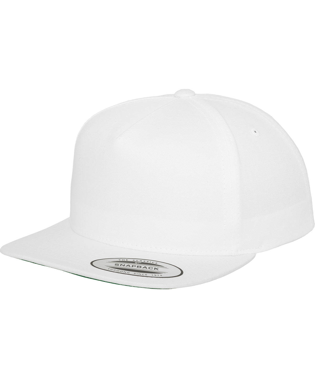 Classic 5-panel snapback (6007)